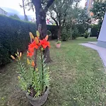 The Door - Center, Terrace & Free Parking