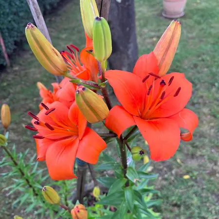 아파트 The Door *