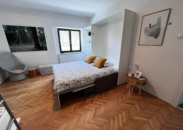 公寓 The Door 波斯托伊纳